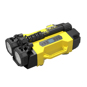 Cветодиодный фонарь Goaltek INMP82R